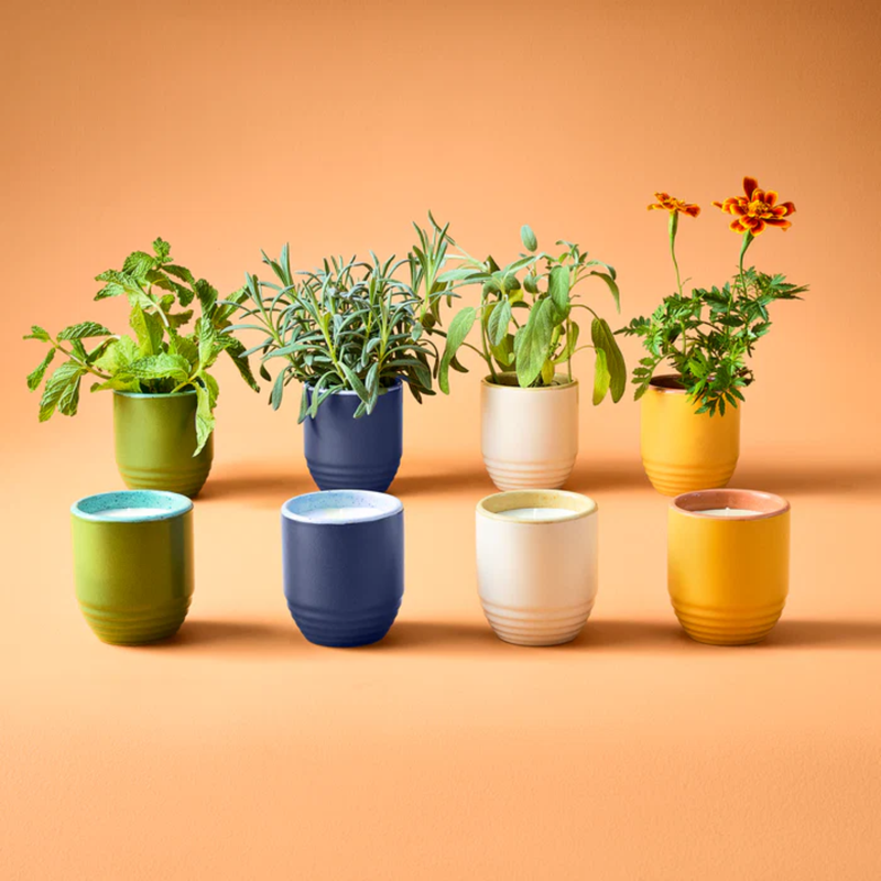 Branded Garden Vibes Candle/Planter