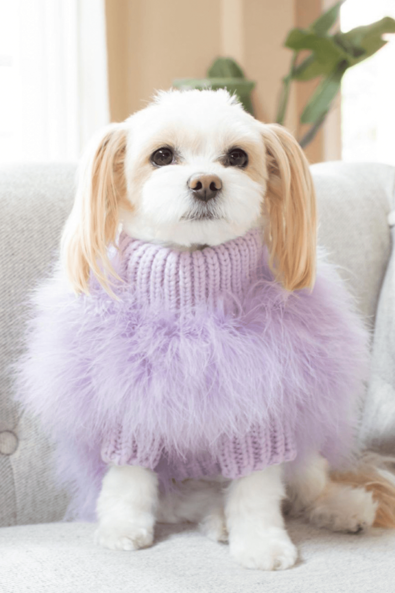 Christian Cowan x maxbone Jumper Sサイズ Dog Knit Feather Christian Cowan and maxbone Jumper | maxbone