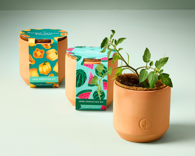 Tiny Terracotta Garden Kits
