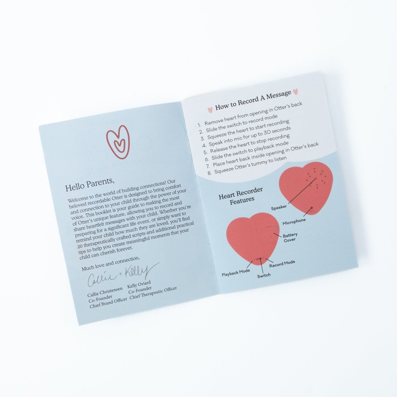 Messages from the Heart: Recordable Otter Gift Set