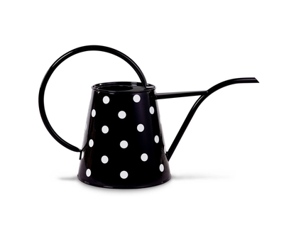 Watering Can