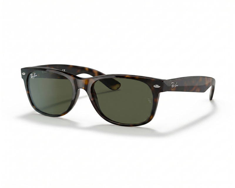 New Wayfarer Classic Sunglasses