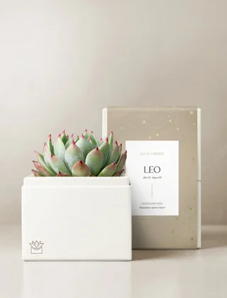 Leo Garden