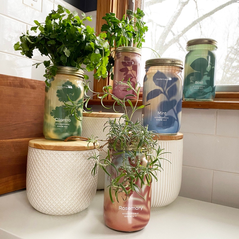 Herb Garden Jar 2-Pack