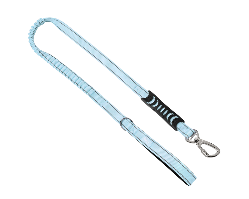 Classic Dog Leash