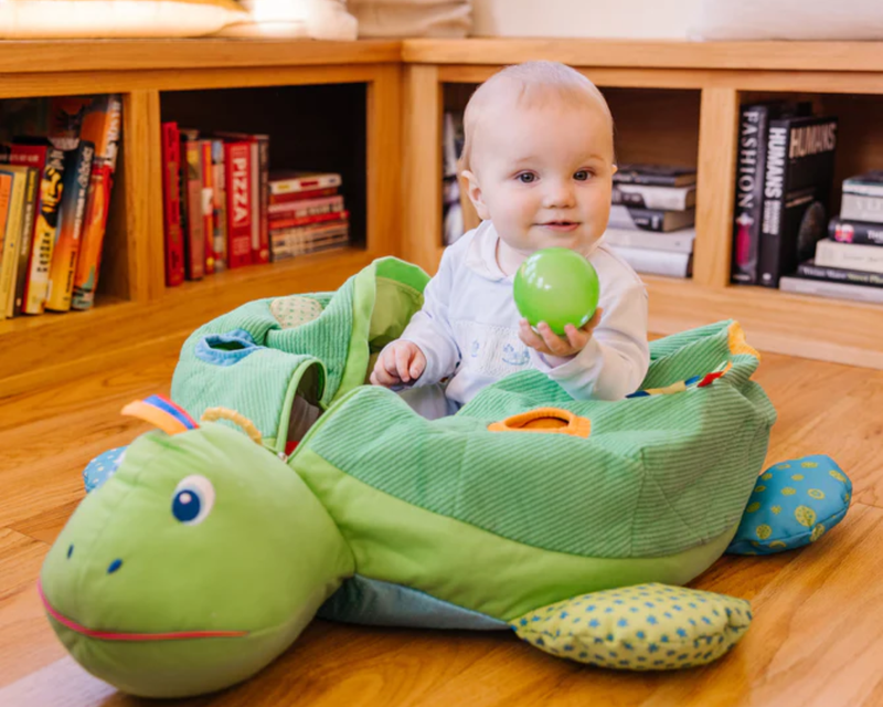 Turtle Ball Pit 
