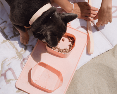GO! Portable Dog Bowls