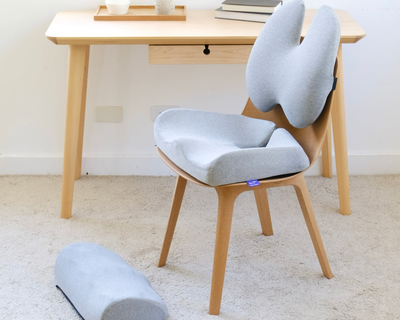 Ultimate Sitting Comfort Bundle