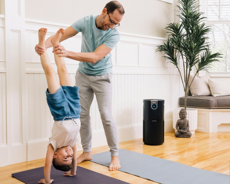 Air Purifier MAX with True NanoSeal HEPA