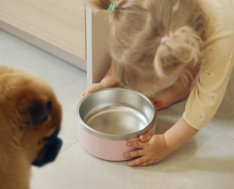 4 Cup Dog Bowl