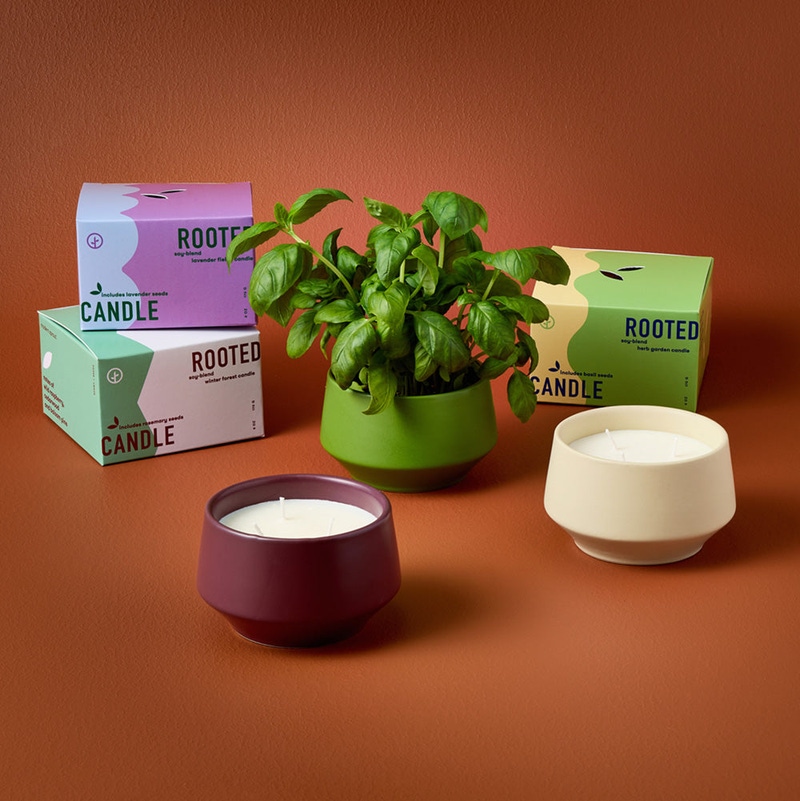 Rooted 3-Wick Candle