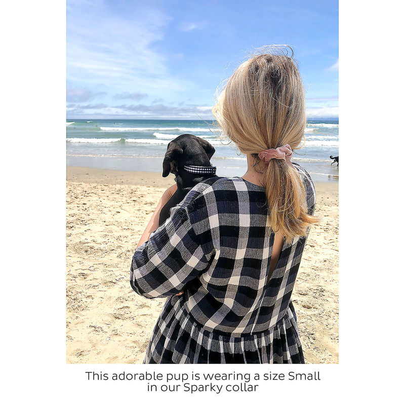 Gingham Dog Collar