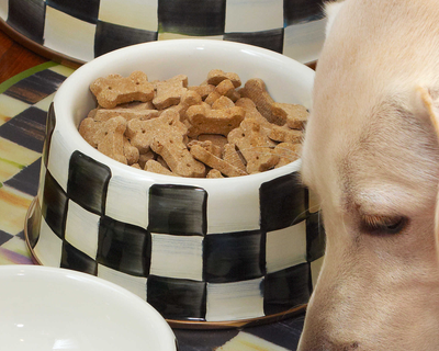 Medium Pet Dish