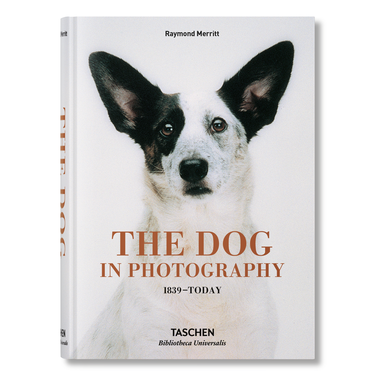 Photography Coffee Table Book