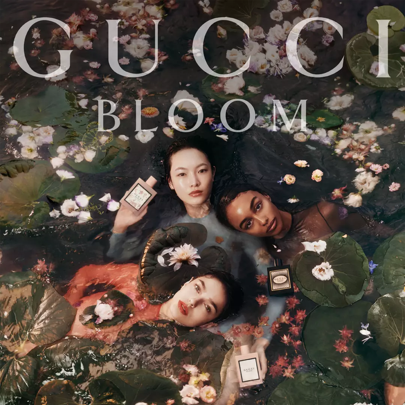 Gucci: Bloom EDT Spray for Women, 1.6oz