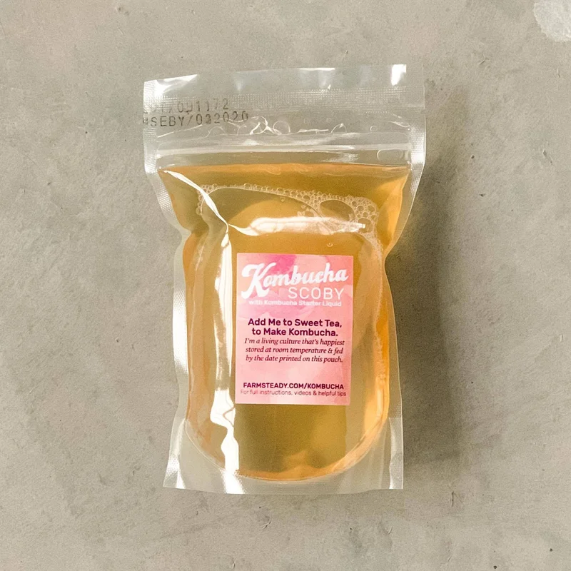 Kombucha Making Kit
