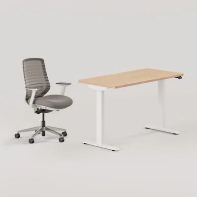 Ergonomic Chair + Standing Desk Bundle