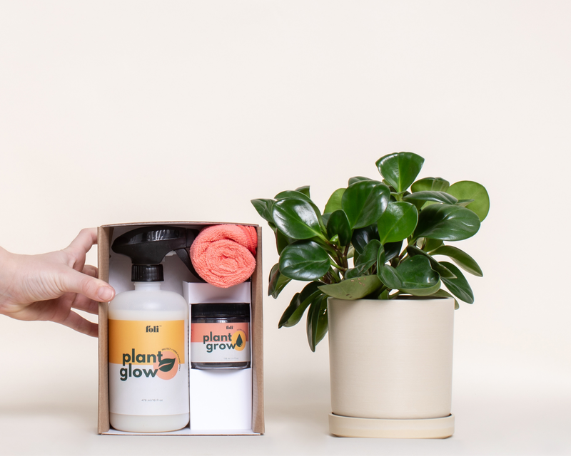 Plant Care Kit