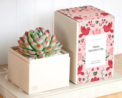 Valentine's Bliss Garden