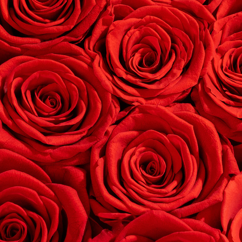 Ruby Crush 16 Red Roses In Marble Box