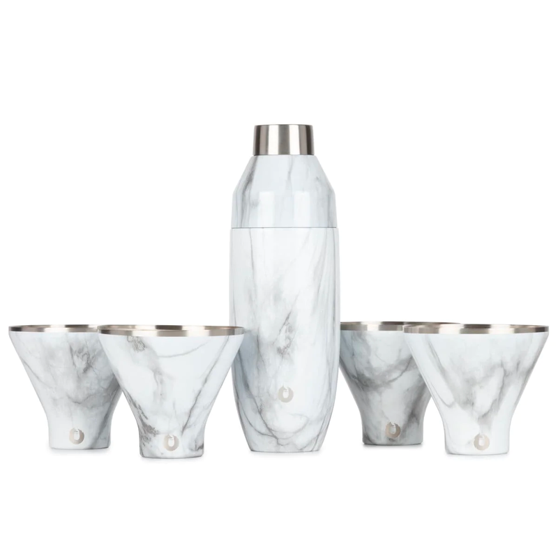 Stainless Steel Cocktail Shaker and Martini Glass Set