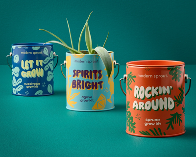 Holiday Complimentary Colors Grow Kit