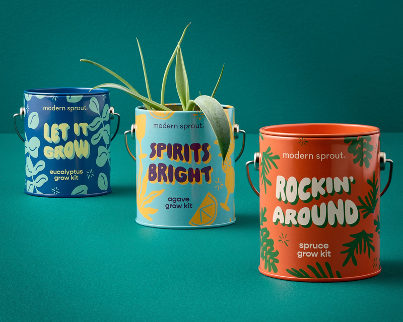 Holiday Complimentary Colors Grow Kit