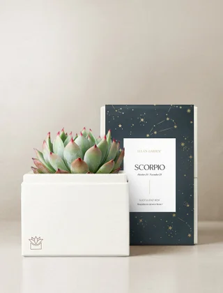 Scorpio Garden