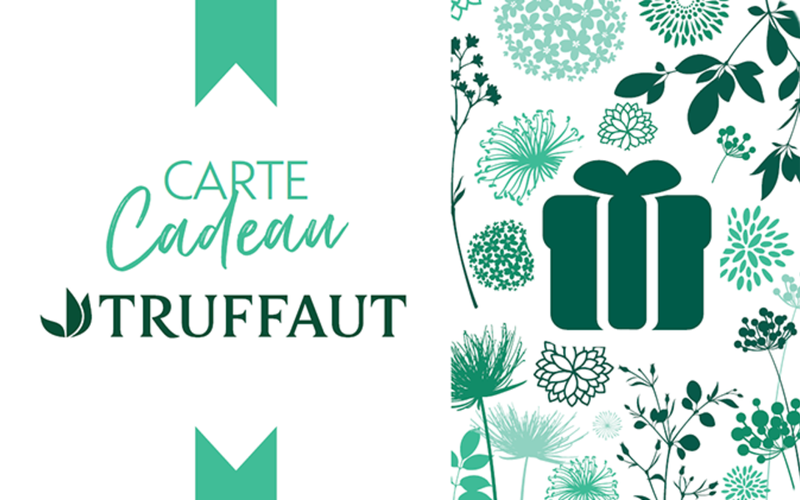 Truffaut FR
