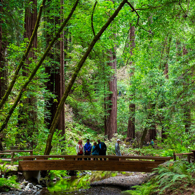 Redwoods & Wine Country Lunch Tour for Two, San Francisco, CA