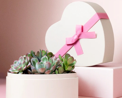 Valentine's Day Heart Garden