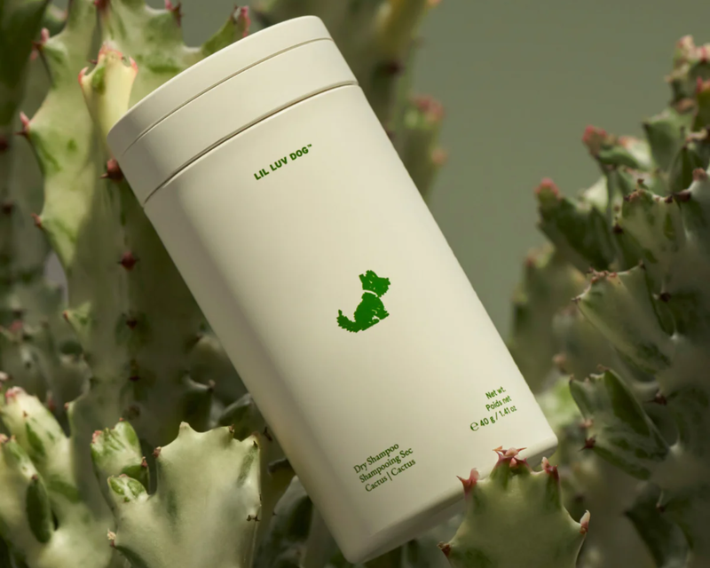 Dry Shampoo