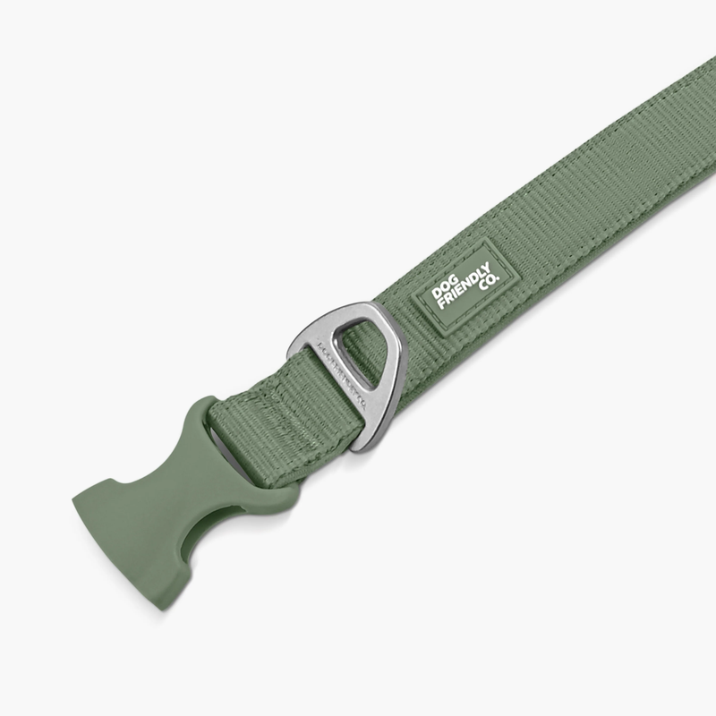 Essentials Collar