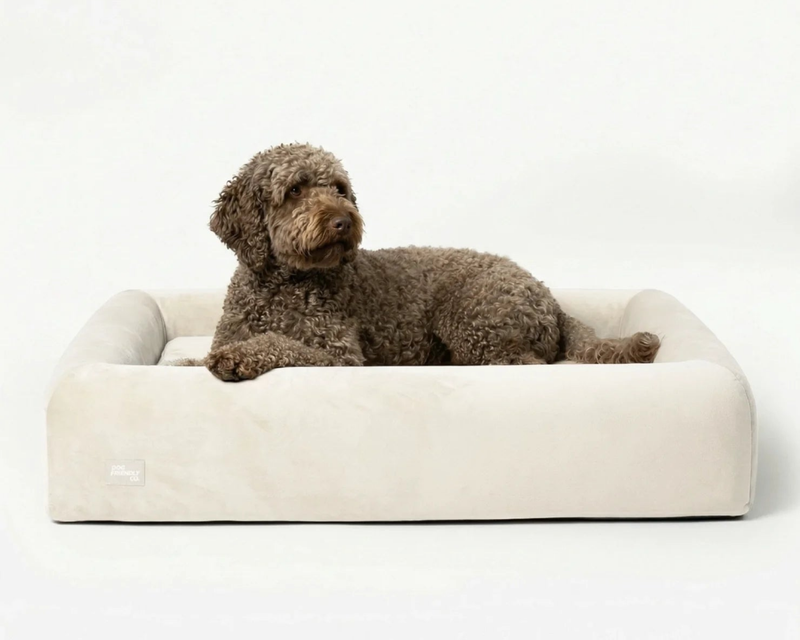 Small Orthopedic Memory Foam Dog Bed