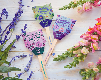 Thank You Seed Lollipop Set