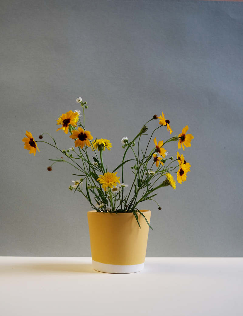 Paper and Clay Oslo ceramic planter - housewarming gift 2026 - $34