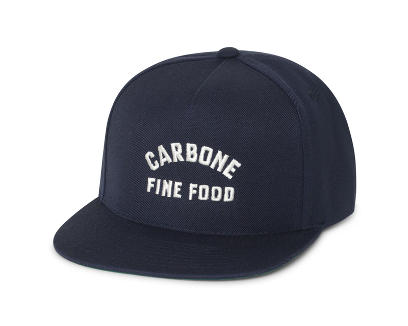 Carbone Panel Hat