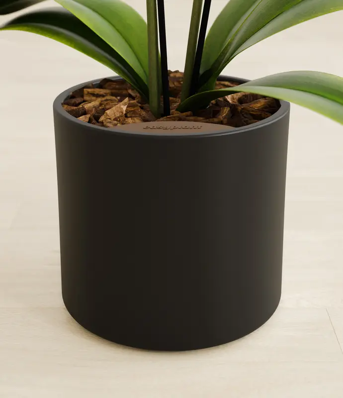 Medium White Orchid in Self Watering Ceramic Potter