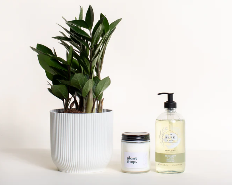 Housewarming Bundle with Medium ZZ Plant