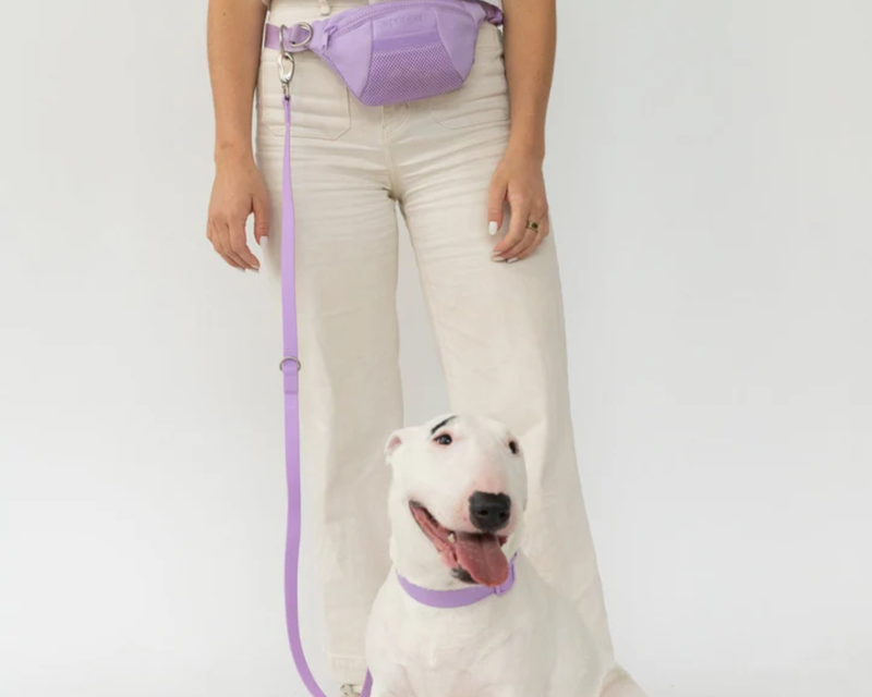 Sling Bag + Dog Leash