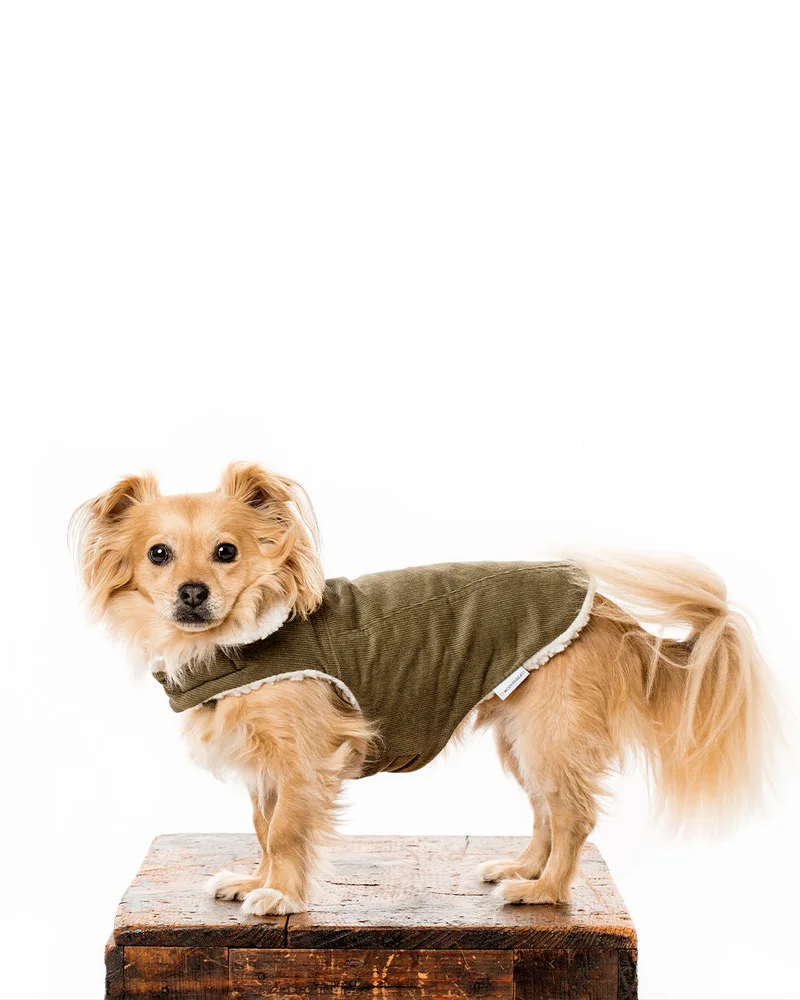 Modern Classic Coat