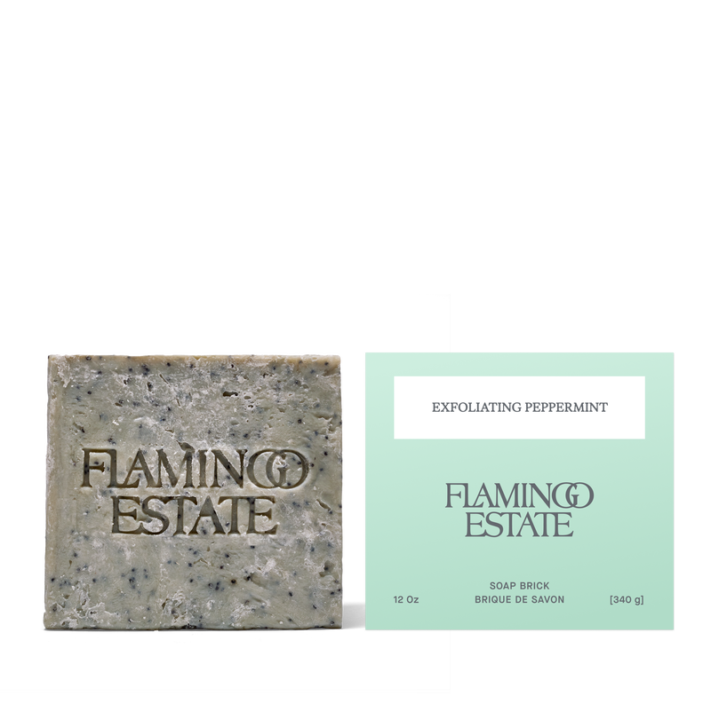 Morning Exfoliating Peppermint Soap Brick