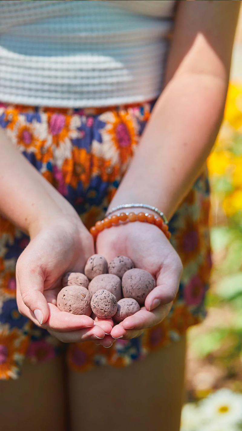 Bright Side Seed Balls