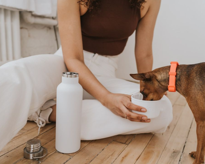 Dog & Me Insulated Water Bottle