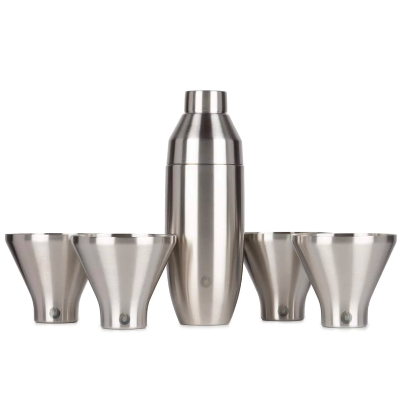 Stainless Steel Cocktail Shaker and Martini Glass Set