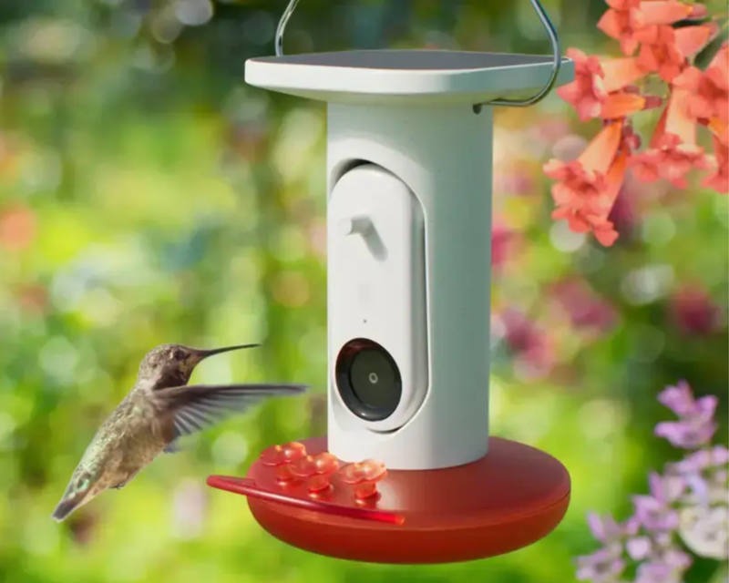 Smart Hummingbird Feeder with Solar Roof 