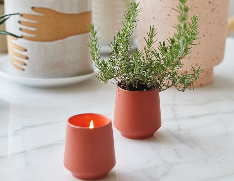 Rooted Candle