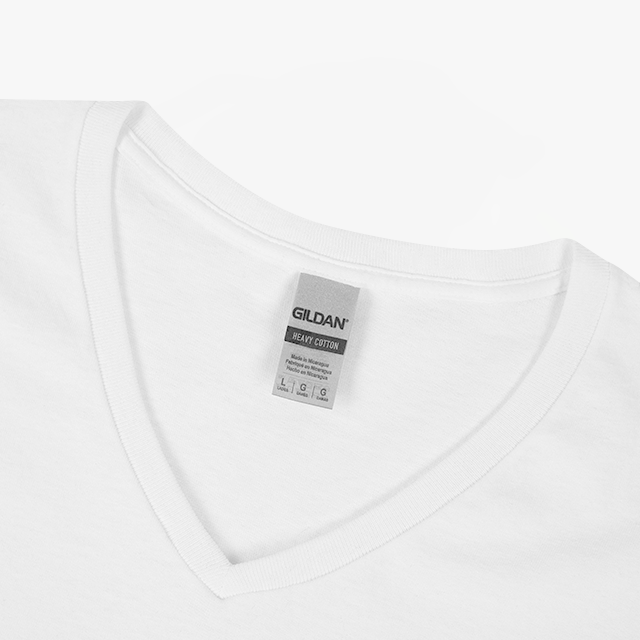 Ladies' V-Neck T-Shirt