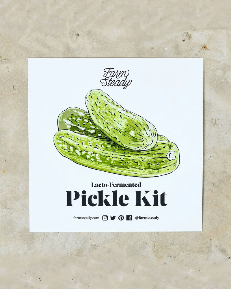 Lacto Pickle Kit