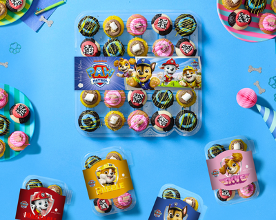 Paw Patrol Gift Bundle